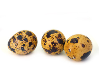 Quail egg on white background.