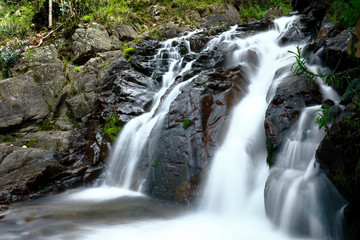 Fototapeta premium Piękna naturalna woda wpada do wnętrza andyjskiego lasu w potoku Miraflores położonym w górach.