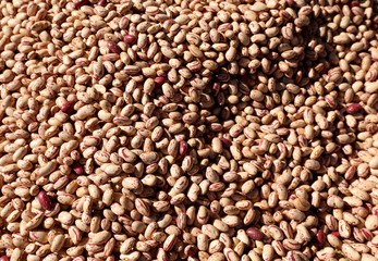 background of many dry common beans for sale at grocery