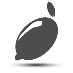 vector lemon icon
