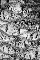 textura de corteza de árbol. Palmera. 