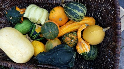 Pumpkin