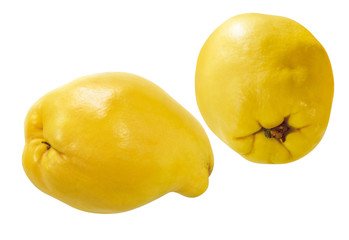 Gelbe Quitten