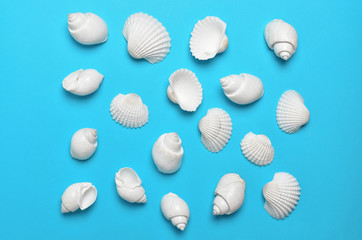 Pattern of white seashells on bright blue background