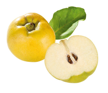 Quitten