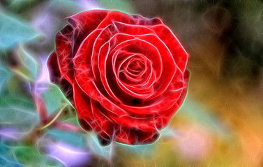 fractal red rose