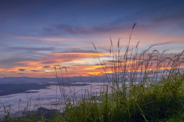view of long grass on top hill around with sea of mist and colorful red sky background, sunrise at Doi Samur Dao, Sri Nan National Park, Nan, Thailand.