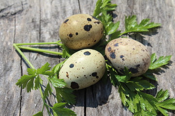  Easter Quail eggs Japanese on wooden table