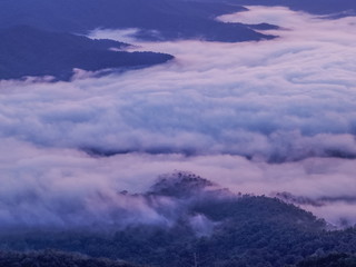 Obraz premium Mountain view morning in low light of sea of mist cover above top hill in valley time twilight at Doi Samur Dao, Sri Nan National Park, Nan, Thailand.
