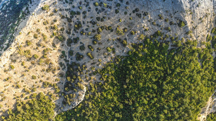 Nature from a great height