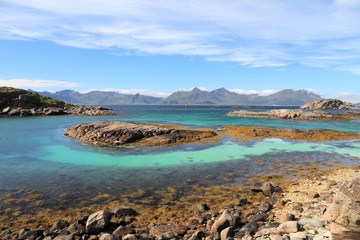 Fototapeta premium Norway summer landscape