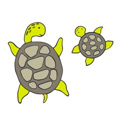 Cartoon sketch turtles on a white background. Vector illustration.