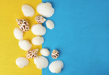 Seashells in the middle of bright yellow and blue background with empty space on the side, summertime concept