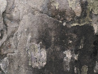 grunge wall for background