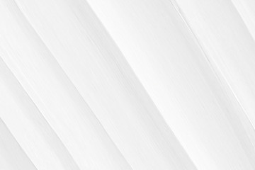 Obraz premium The texture of white marble for a pattern of packaging in a modern style. Beautiful drawing with the divorces and wavy lines in gray tones for wallpapers and screensaver.