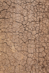 Dry Cracked Texture of Serbian Village Road