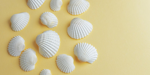 White seashells on pastel yellow background with empty space, summertime concept
