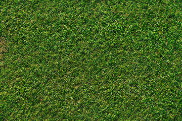 Obraz premium Artificial Grass turf texture.Green surface background.