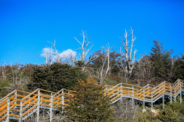 Glaciar Perito Moreno
