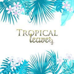 Fototapeta na wymiar Tropical palm leaves and flowers on white background.