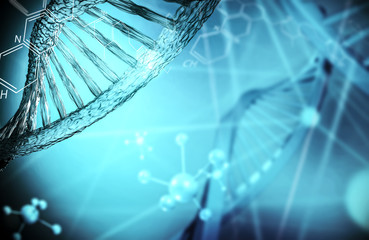 DNA  Biotechnologie 