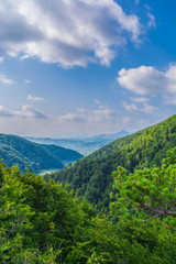 Fototapeta na wymiar View of forested valley with blue sky and clouds in Arges county ,Romania, East Europe. Untouched virgin woods in Carpathian Mountains.