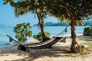 Fototapeta na wymiar Empty hammock between palm trees on tropical beach