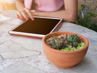 selective focus on business woman using tablet with blurred cactus on foreground