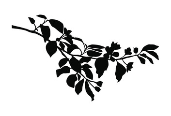 Vector silhouette of the branches of Apple or cherry trees with flowers, black color, isolated on white background