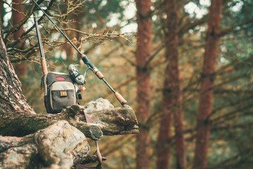 Fishing equipment on the shore of a forest stream.