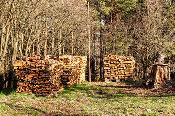 Stacked firewood in the garden. Preparing for the winter. Work in forest. Spring evening in the...
