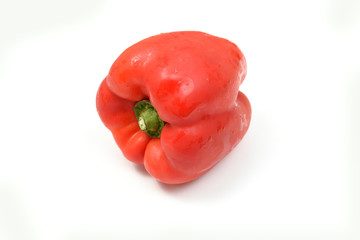 vegetable red pepper to prepare meal boxes