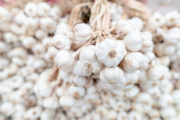 Garlic heads for cooking products from Thailand