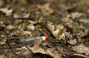 A bottle in the forest 