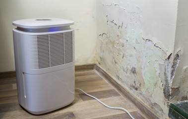 Purifier next to a damaged wall from severe mold and toxic fungus growth. Dehumidifier for water...