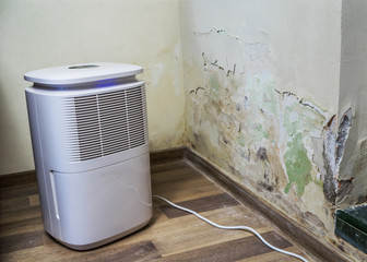 Dehumidifier cleaning and drying air next to a bad mold and fungus growth on an interior wall....