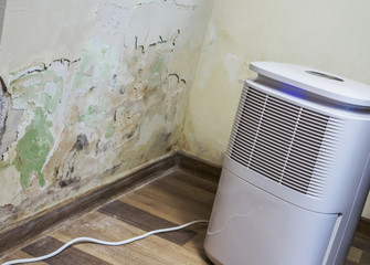 Mold and toxic fungus growth on a damaged interior wall due to high humidity, condensation, damp and water infiltration. Air purifier and dehumidifier  turned on to reduce the problem. 