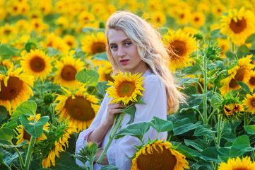 Portrait of a beautiful slender blonde in a field with sunflowers, freedom and femininity