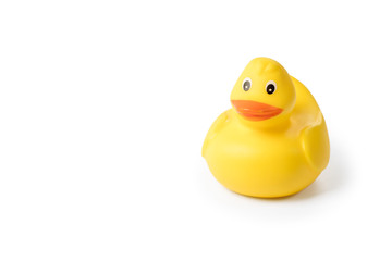 Yellow rubber duck isolated on white background