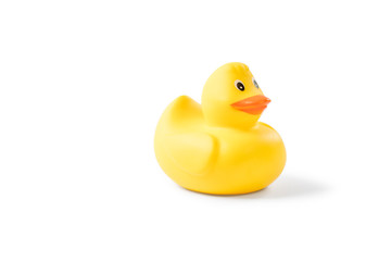 Yellow rubber duck isolated on white background
