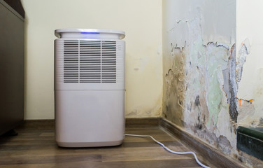 Purifier next to a damaged wall from severe mold and toxic fungus growth causing the paint to peel. Air dehumidifier for water infiltration, moisture, damp, bacteria spores and high humidity.  - obrazy, fototapety, plakaty