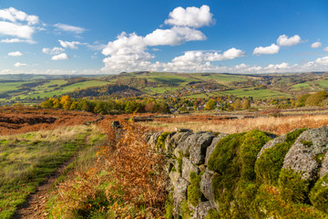 Stone wall through field by Calver in Peak District National Park