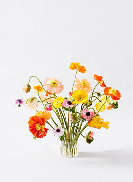 Colorful flowers in jar against white background