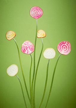 Beetroot slices against green background