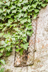 Novi Sad, Serbia-Old walls of Petrovaradin fortress