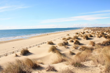 Amazing Sandy beach in Camargue region, in the South of France