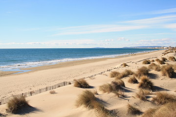 Amazing Sandy beach in Camargue region, in the South of France