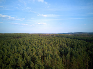 Fototapeta na wymiar Blick über Wald - Drone View over Wood