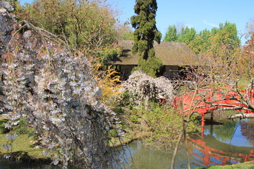 Fototapeta na wymiar The beautiful Japanese garden in Toulouse, the French pink city and city of Art and History, France