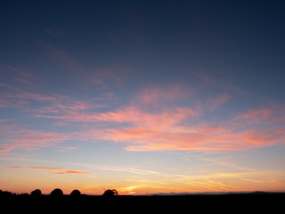 Sunrise time, Trees silhouettes on horizon line.